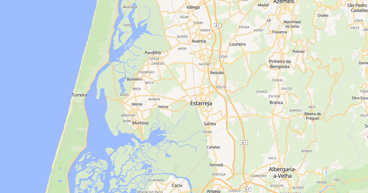 Mapa do concelho de Estarreja