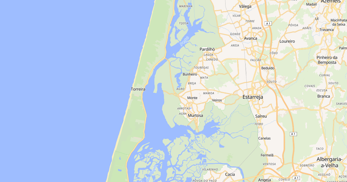 Mapa do concelho de Murtosa
