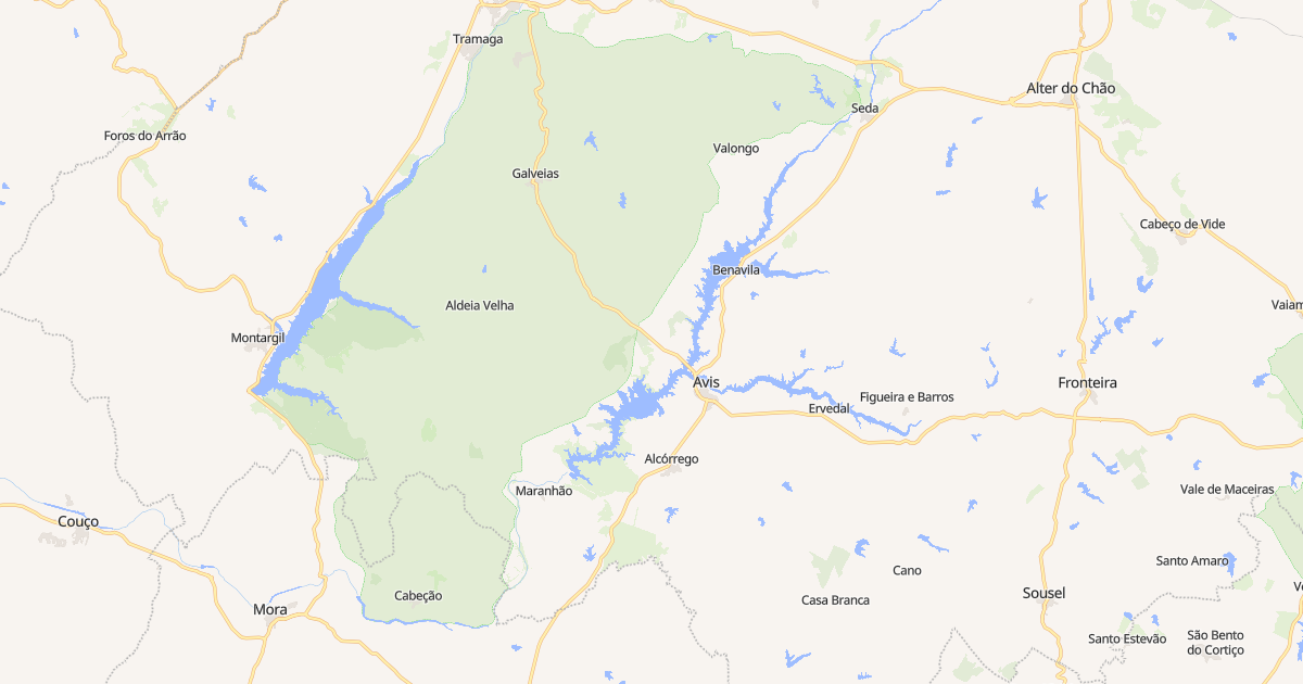 Mapa do concelho de Avis
